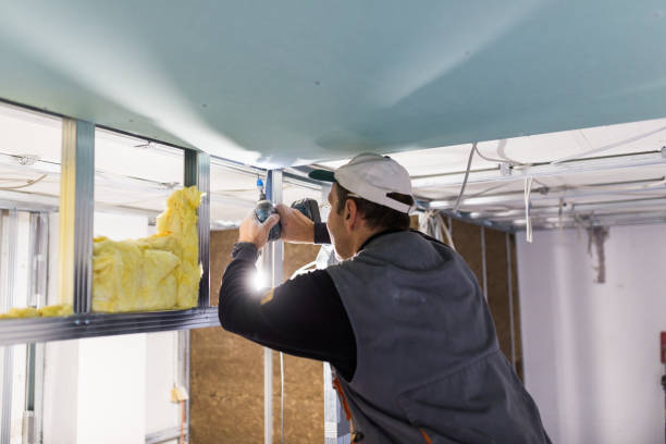 Trusted Kenyon, MN Insulation Contractor Experts